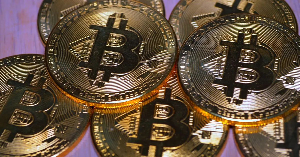 Bitcoin coins — the crypto speculation cycle